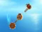 Spel Crazy Machines aanlyn