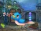 Spel Singing Bird Escape aanlyn