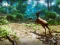 Spel  Hunter 3D aanlyn