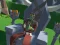 Spel Lazy Orcs: Arena aanlyn