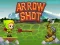 Spel Arrow Shoot aanlyn