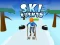 Spel Ski Rush 3d aanlyn