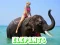 Spel Elephants Puzzle aanlyn