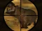 Spel Classical Hippo Hunting aanlyn