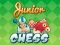 Spel Junior Chess aanlyn