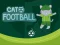 Spel Cat Football aanlyn