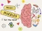 Spel Brain Puzzles Quests aanlyn