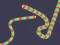 Spel Slither Classic aanlyn
