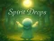 Spel Spirit Drops aanlyn