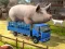 Spel Driver Master Simulator aanlyn