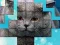 Spel PicPu Cat aanlyn