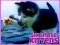 Spel Six Little Kittens aanlyn