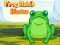 Spel Frog Match Master aanlyn