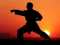 Spel Karate Sunset Warriors aanlyn