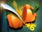 Spel Veggie Slicer aanlyn