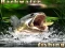 Spel Backwater Fishing aanlyn