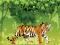 Spel Angry Tiger Coloring aanlyn