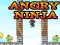 Spel Angry Ninja aanlyn