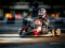 Spel Kart Karting aanlyn