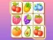 Spel Zoo Tile aanlyn