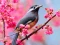 Spel Lovable Birds aanlyn