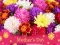 Spel 2019 Mother's Day Puzzle aanlyn
