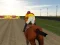 Spel Horse Rider aanlyn