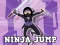 Spel Ninja Jump aanlyn