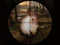 Spel Classical Rabbit Sniper Hunting 2019 aanlyn
