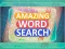 Spel Amazing Word Search aanlyn