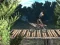 Spel Bike Trial Xtreme Forest aanlyn