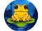 Spel Frog Jumper aanlyn