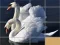 Spel Animals Slide Puzzle aanlyn