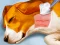 Spel Dog Hospital aanlyn