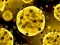 Spel Coronavirus Slide aanlyn