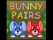 Spel Bunny Pairs aanlyn