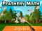 Spel Feathery Math aanlyn