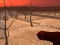 Spel Wasteland Shooters aanlyn