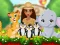Spel Moana Cute Zoo aanlyn