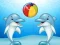 Spel Dolphin Show aanlyn