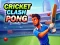 Spel Cricket Clash Pong aanlyn