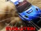 Spel Nitro Rally Evolution aanlyn