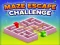 Spel Maze Escape Challenge aanlyn