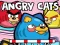 Spel Angry Cats aanlyn
