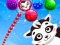 Spel Raccoon Rescue aanlyn