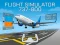 Spel Flight Simulator 737-800 aanlyn