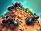 Spel Ant Colony aanlyn