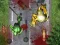 Spel Crush The Zombies aanlyn