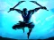 Spel Shadow Ninja Revenge aanlyn