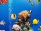 Spel Sea Underwater Difference aanlyn